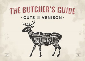 How to Butcher a Deer (Cut Up Meat Step by Step)