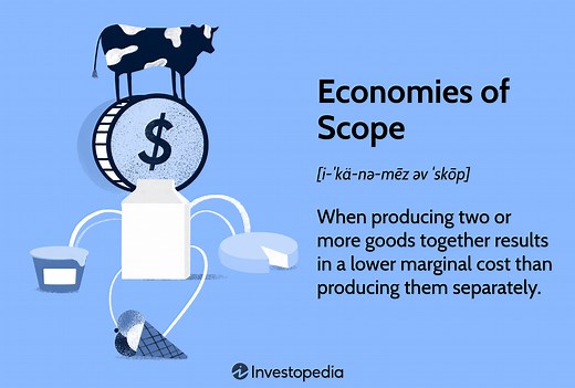 Economies of Scope: Definition, Example, and Importance