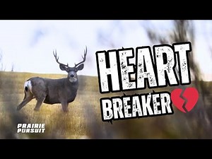 Mule Duel | Prairie Pursuit | S1 E5