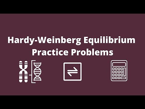 Hardy Weinberg Equation Practice