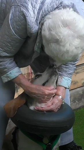 73K views · 433 reactions | Ladies and gentlemen, the Duchess  The Dog House | Channel 4 | Facebook