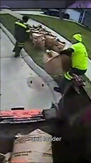 Efficient Yard Waste Pickup with Team Priority