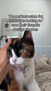 3.1K views · 1.8K reactions | YOU can take Graphic Design classes 100% online! Click to get started today. | Degree Grad | Facebook