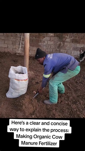 Organic Cow Manure Fertilizer Production Process Explained
