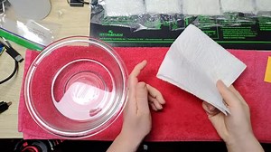 Test Pepper Seed Viability So You Don't Waste Time | Grow Hot Peppers