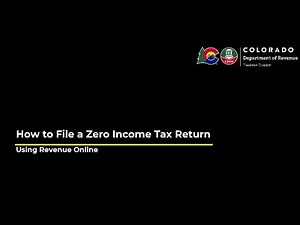 How to File a Zero Income Tax Return Using Revenue Online