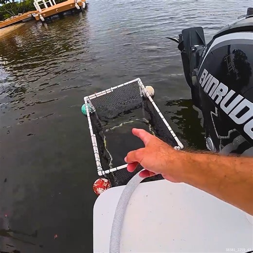 21K views · 203 reactions | The BEST Way to Catch Goggle EYE Fish #goggleeyes #snappers #baitpen #fishingtips | South Florida Fishing Channel | Facebook