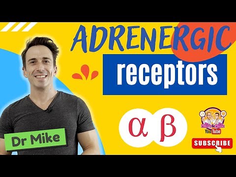 Adrenergic Receptors - CHEAT SHEET!