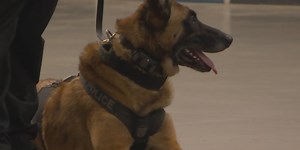 ATF trains dozens of K-9 teams on latest in explosive detection
