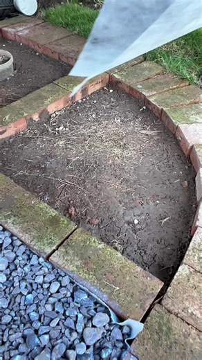 Mulch Glue for Landscape Rocks & Mulch — Pet Safe, Water‑Permeable