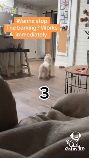 🔥 BOXING DAY SALE NOW LIVE 🔥 Calm K9 Pro™ is the clean, humane way to take back control. Trusted by professional trainers, this handheld device interrupts barking, aggression, and anxiety the moment it starts—without pain, force, or yelling. With one push of a button: ✅ Instant Focus with Ultrasonic Sound ✅ Immediate Results with No Shocks or Harm ✅ Works on All Dogs—Big or Small ✅ Lightweight, Rechargeable, Built for Daily Use And that's not all... Use Code : BD10 Further $10 OFF! 12 Month FR