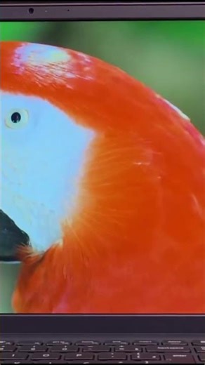 Dell Inspiron 3530 Laptop Review #shorts #dell #laptop