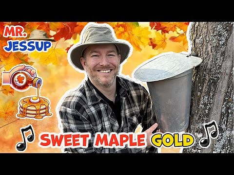 The Maple Syrup Song 🍁🇨🇦 | Let’s Make Maple Syrup & Sing with Mr. Jessup | Kids & Toddlers Fun #kids