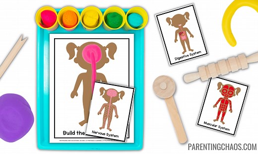 Printable Human Body Playdough Mats