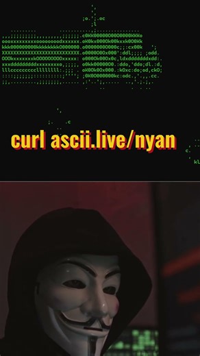 Hack Your Terminal 😱 | curl ascii.live/knot & nyan Cat Trick | Linux Terminal Fun
