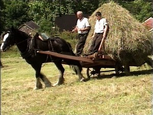 333K views · 3.4K reactions | ***Bringing in the Hay** Traditional Irish Farming -- Google "Videos of Irish Farming Life" now to see more... | Videos of Irish Farming Life | Facebook