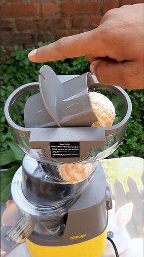 “Whole Oranges • Cold Press Test”