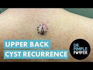 Hit The Road…. Sac!