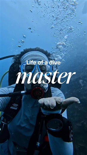 A Day in the Life of a Marine Biologist in Koh Tao