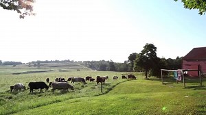 182K views · 82 reactions | ButcherBox on Reels | Facebook