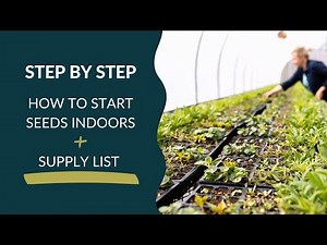 Step-by-Step: How to Start Flower Seeds Indoors for a Beautiful Garden