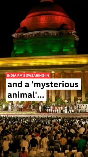 6.3K views · 21 reactions | Many Indians watching Prime Minister Narendra Modi and his ministers' oath-taking ceremony on Sunday got distracted when they spotted a ‘mysterious animal’ in the background. Some social media users said it was a cat while some others thought it was a leopard. The Delhi police finally clarified. | BBC News India | Facebook