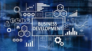 Job Description of Business Development Director