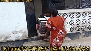 16 reactions | MWALIMU KUKU FARM Tunauza Mashine(INCUBATORS) za...