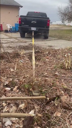 How to pull a tree stump out of the ground