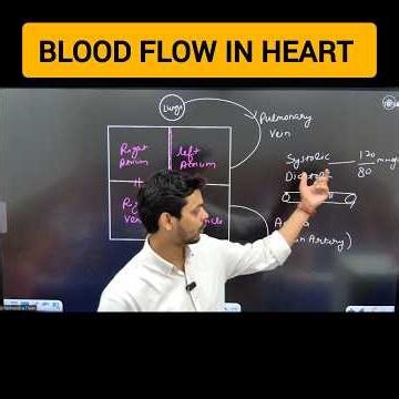 “How Blood Actually Flows in the Heart 🔥 | Class10 Biology Explained”