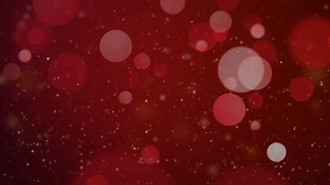 Celebrating 25 years of transforming homes with beautiful, energy-efficient windows & doors! Ready to elevate your space and save on utility bills? Discover how we can help you today! | American Vision Windows | Facebook