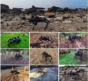 Why DARPA wants its robots to think like kids