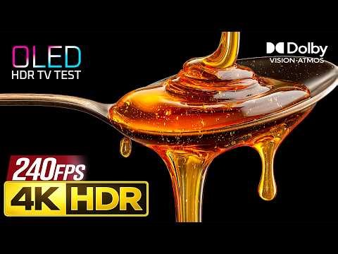 Ultimate 4K OLED Test | True Black HDR Dolby Vision 240FPS
