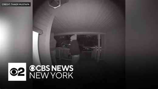 Video shows alleged burglars breaking into Clifton, NJ., home
