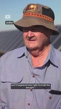 Farming sheep under 60,000 solar panels | Landline | ABC NEWS