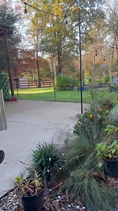 26K views · 6.2K reactions | Happy Saturday | From Suits to Boots | Facebook