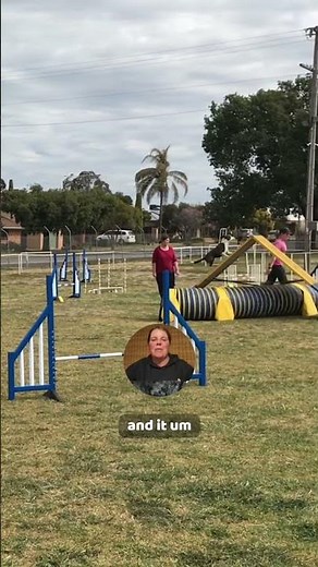 Choosing the best agility handling techniques for your team