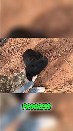 Building a Driveway: Watch This Easy Culvert Installation! #shorts