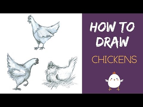 How to Draw Chickens | Chicken Sketch Tutorial