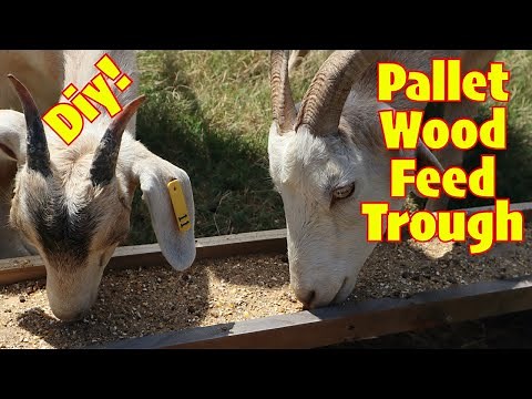 WOW Simple DIY Goat Trough Build | Pallet Wood Feed Trough