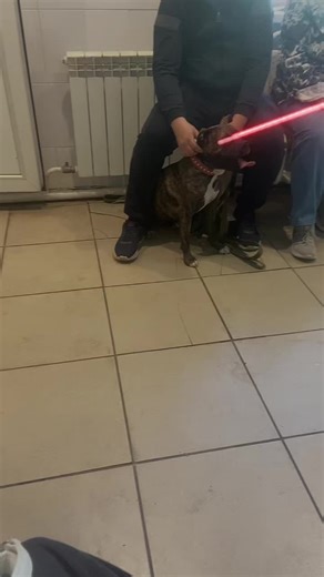 Video's van 🫤 (@cherkes_eldos) met Monster (Rework) - Dotexe