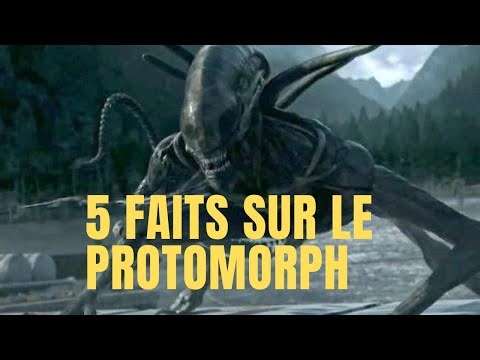 5 SURPRISING FACTS ABOUT THE PROTOMORPH (PRAETOMORPH)