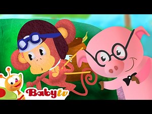 Tortoise - A House on Its Back 🐢🏠 | Learn About Animals | Animal for Toddlers @BabyTV - Videos For Kids