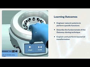 Synthetic Biology | Virtual Lab