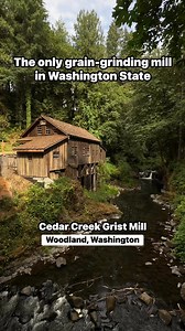 46K views · 605 reactions | Step back in time at the Cedar Creek Grist Mill — Washington’s last working water-powered grist mill! Built in 1876, it still grinds flour the old-fashioned way with nothing but rushing creek water.  #explorewashington #pnw #pnwlife #pacificnorthwest | Compass Outdoors | Facebook
