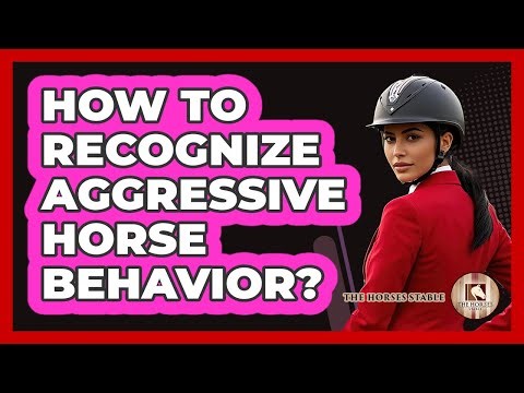 How To Recognize Aggressive Horse Behavior?