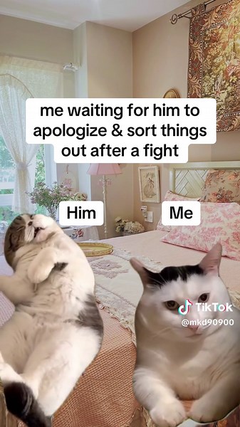 Humorous Take on Waiting for an Apology in Relationships