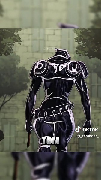 Silver Chariot Requiem #польнарефф #джоджо #реквием #сильверчариот #голдэкспириенсреквием Silver Chariot Requiem is a transformed, autonomous Stand evolved from Polnareff's Silver Chariot through the piercing of a Stand-creating Arrow. This evolution occurs during the final arc of Stardust Crusaders' sequel, Vento Aureo, as Polnareff attempts to prevent the Arrow from falling into the enemy's hands. Unlike its predecessor, Silver Chariot Requiem operates independently of its wounded user, exhibi