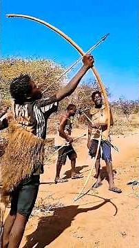 Wild Africa Bow & Arrow Hunt | Bushman’s Precision Shot‎.#shorts #tiger