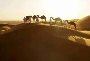 Definitions in the Field: Rural